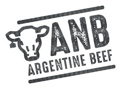 Anb Logo