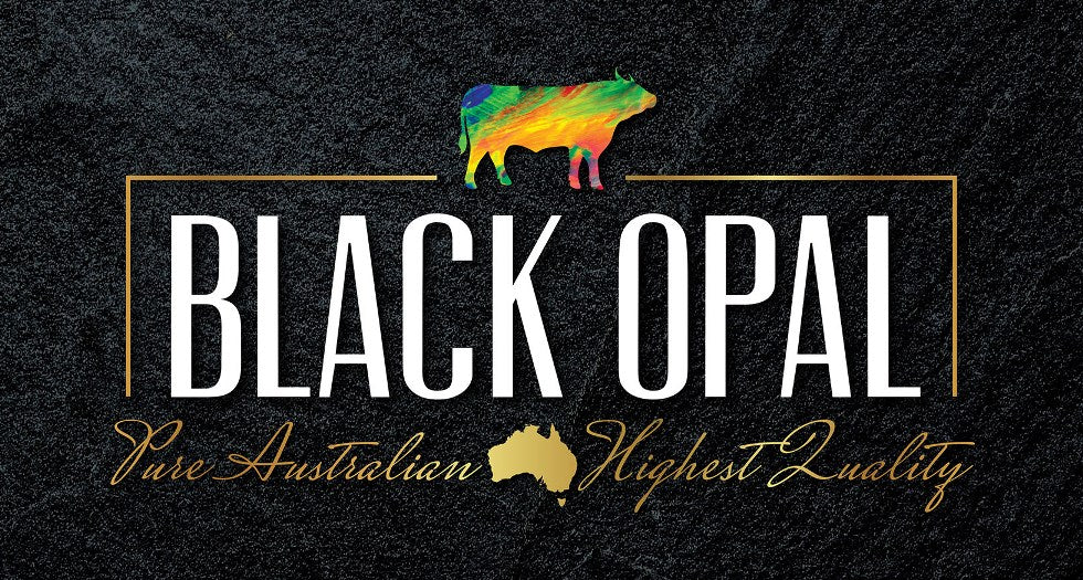 Black Opal 2